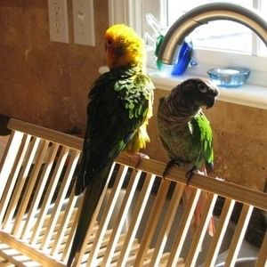 Meet your Posher, Ilyssa